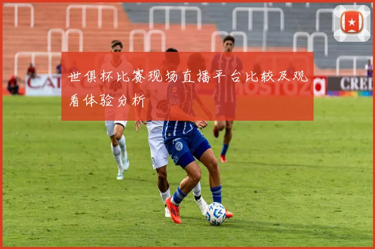 世俱杯比赛现场直播平台比较及观看体验分析