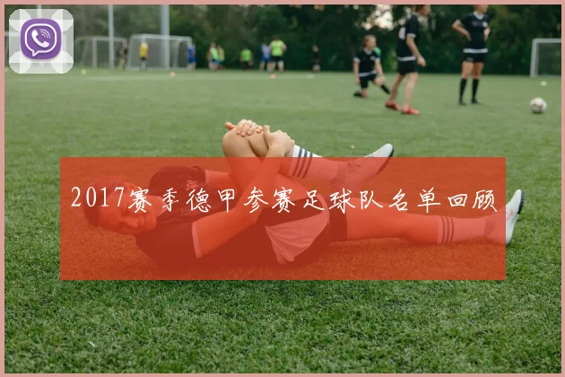 2017赛季德甲参赛足球队名单回顾