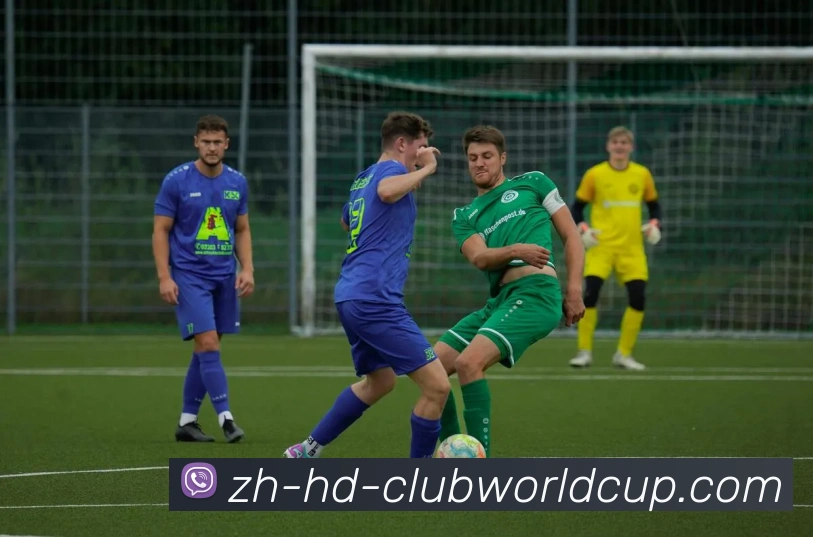 世界杯官网平台生态图