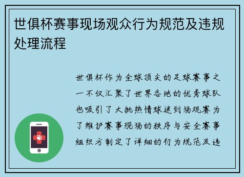 世俱杯赛事现场观众行为规范及违规处理流程